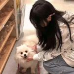 寿司2游戏下载